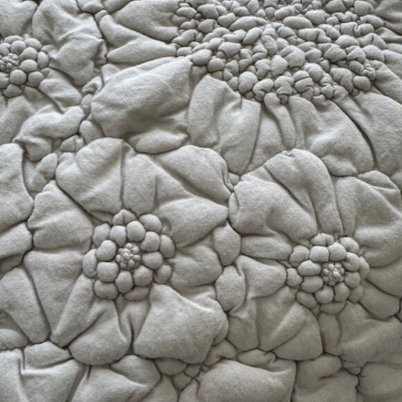 {Anthropologie} Pair of Dahlia Embossed Pillow Shams - Picture 4 of 5